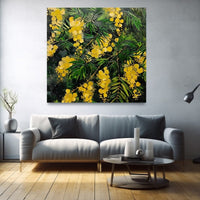 Thumbnail for Peinture Mimosa