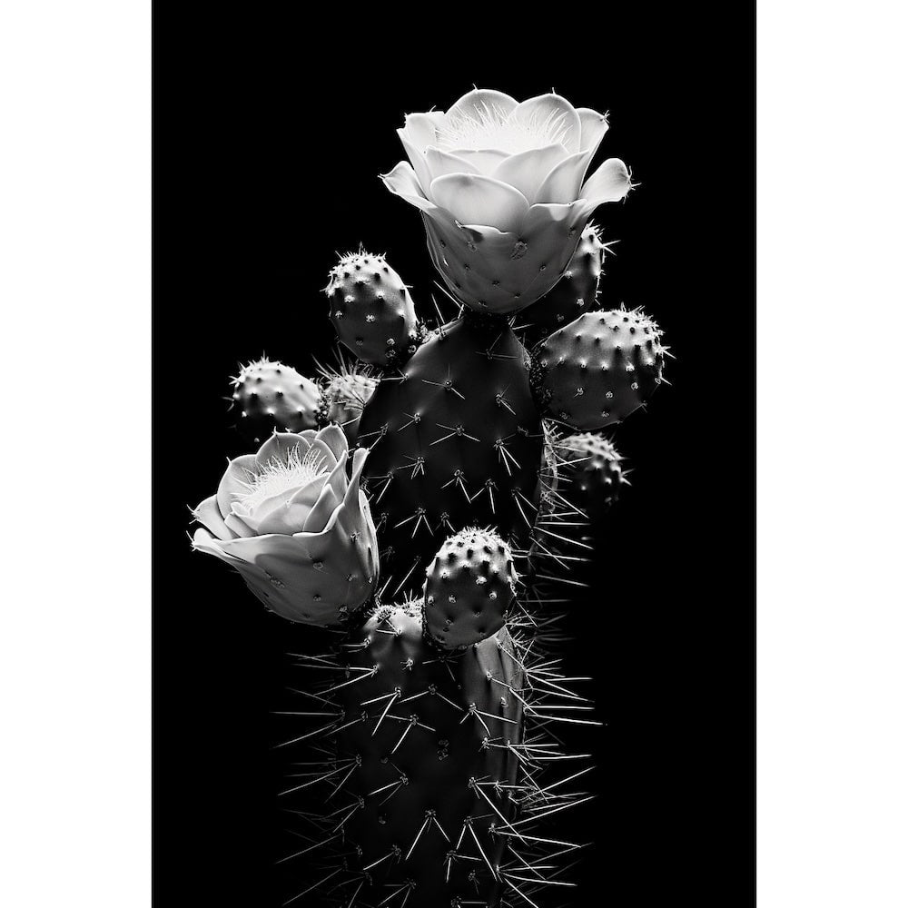 Tableau Cactus Noir Blanc