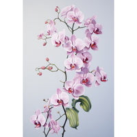 Thumbnail for Tableau Orchidée Vertical