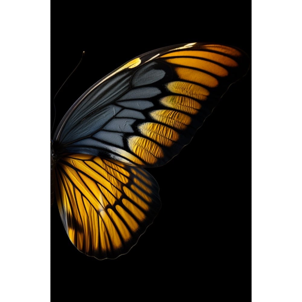 Tableau Papillons Ailes
