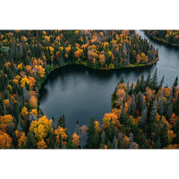Thumbnail for Tableau Paysage Magnifique