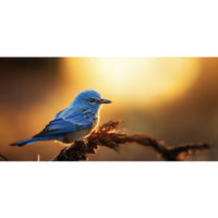 Thumbnail for Tableau d'Oiseau Bleu