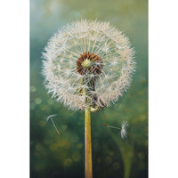 Thumbnail for Tableau Sur Toile Fleur Blanche