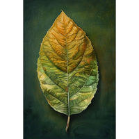 Thumbnail for feuille peinture