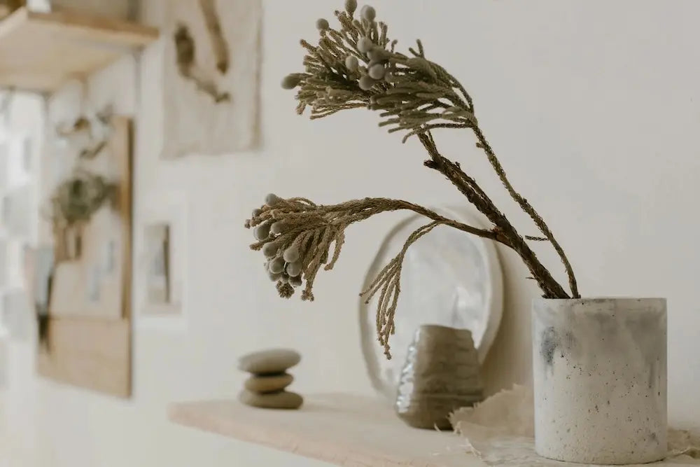 Décoration naturelle