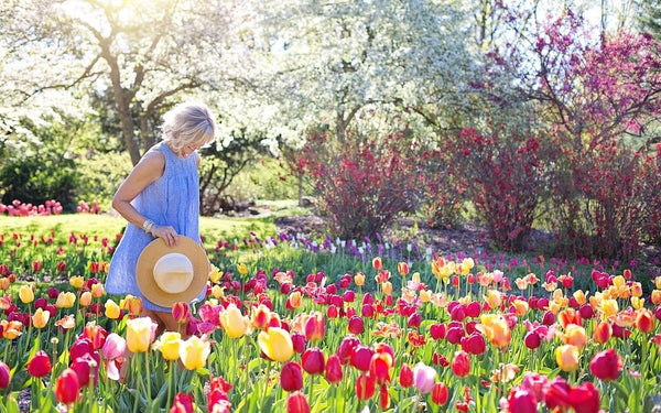 jardin artistique
