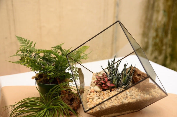 nature-decoration