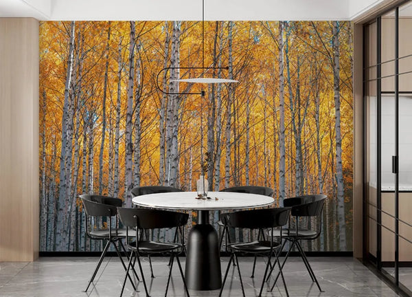 paysage panoramique intérieur 