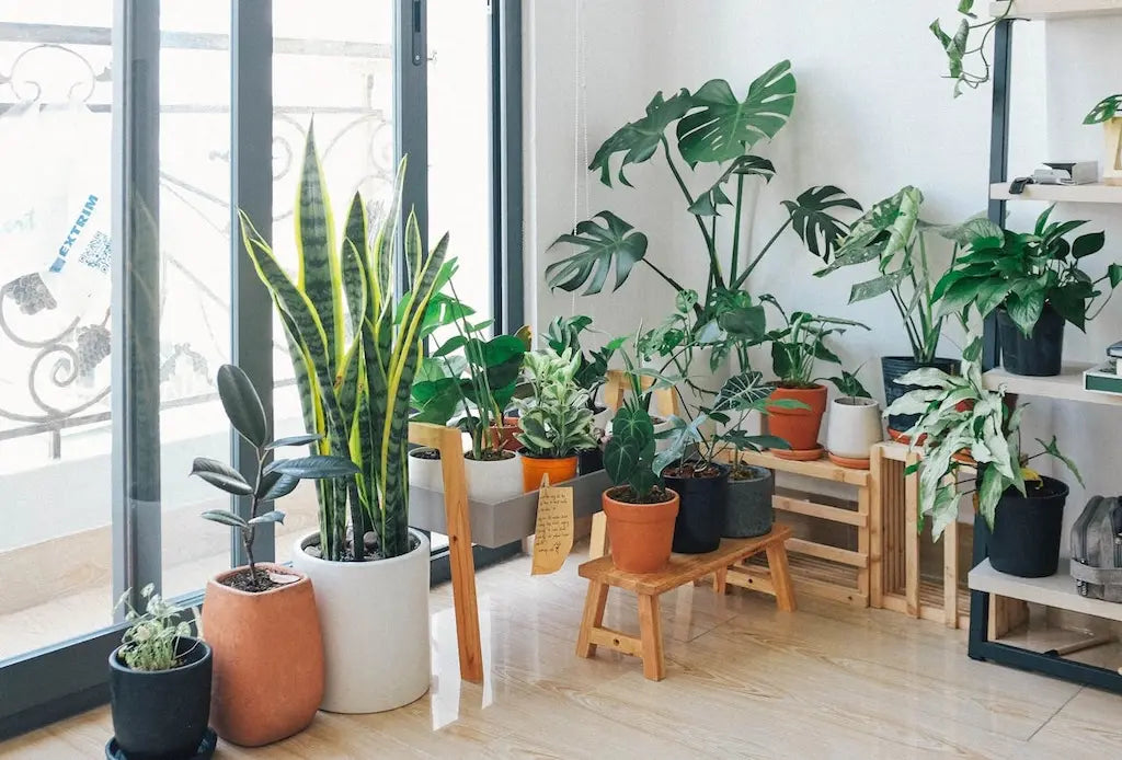 pot design