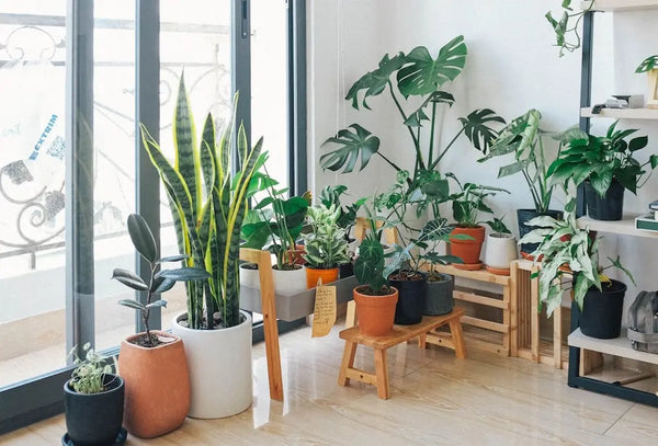 pot design