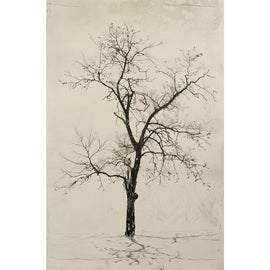 Peinture Arbre Dessin, art mural décoration nature