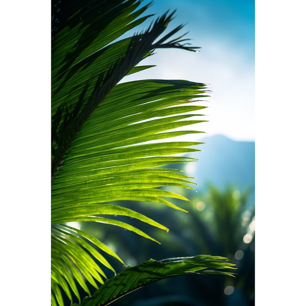 Tableau Palme en Contre-Jour, art mural décoration nature