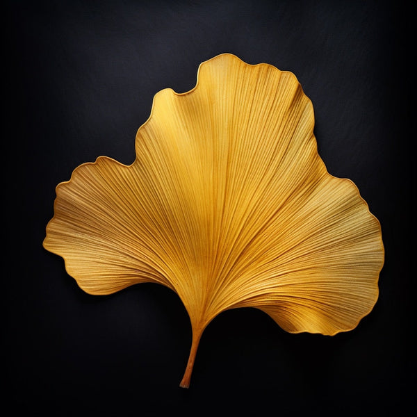 Tableau Feuille de Ginkgo Dorée, art mural décoration nature