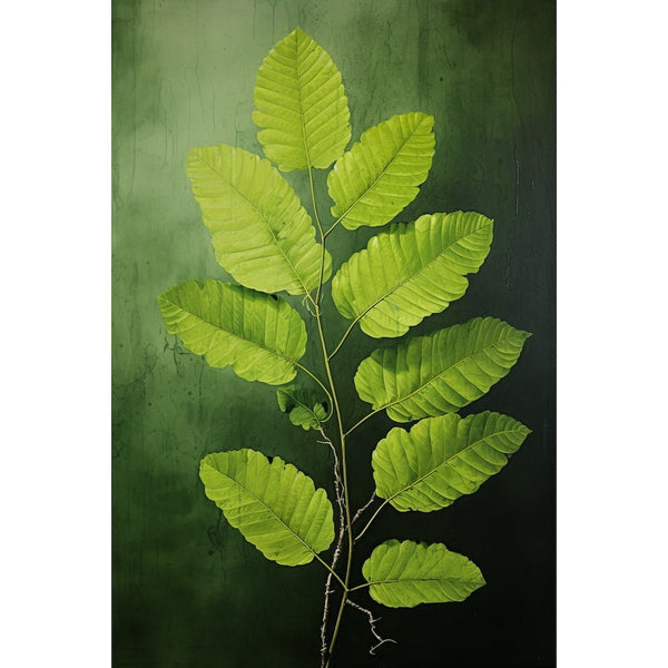 Tableau Rameau de Feuilles Vertes, art mural décoration nature
