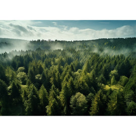 Grand Tableau Forêt, art mural décoration nature