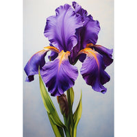 Thumbnail for Iris Violet Peinture