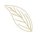 Pictogramme d'une feuille d'arbre nervurée