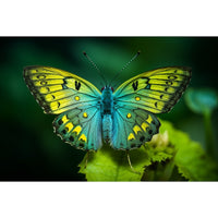 Thumbnail for Papillon Vert Tableau