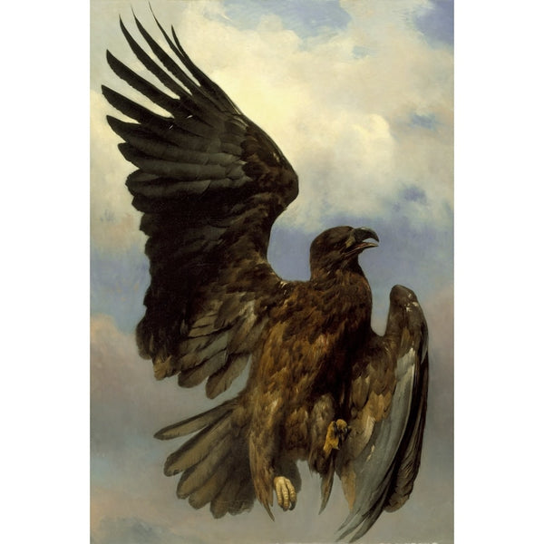 Peinture Célèbre Oiseau, art mural décoration nature, vue 2