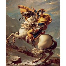 Tableau Napoléon à Cheval, art mural décoration nature