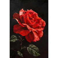 Thumbnail for Peinture de Fleur Rose Rouge