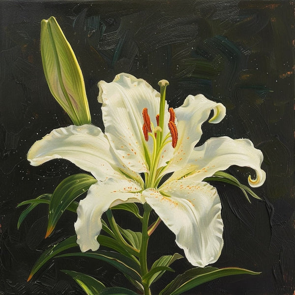 Peinture de Lys Blanc