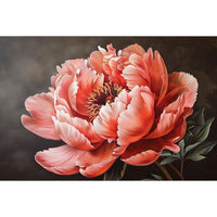 Thumbnail for Pivoine Rose En Peinture