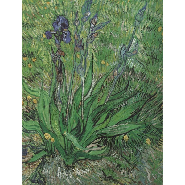 Tableau L'Iris Solitaire de Van Gogh, art mural décoration nature