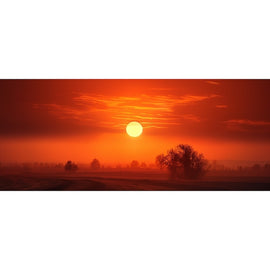 Tableau 5 Panneaux Coucher de Soleil, art mural décoration nature