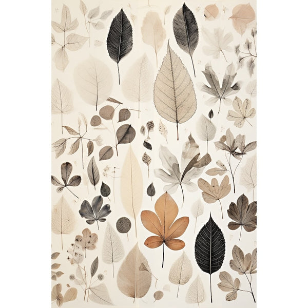 Tableau Feuilles Affiches, art mural décoration nature