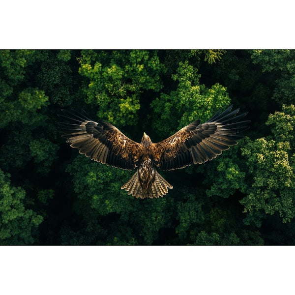 Tableau Aigle en Vol, art mural décoration nature, vue 2