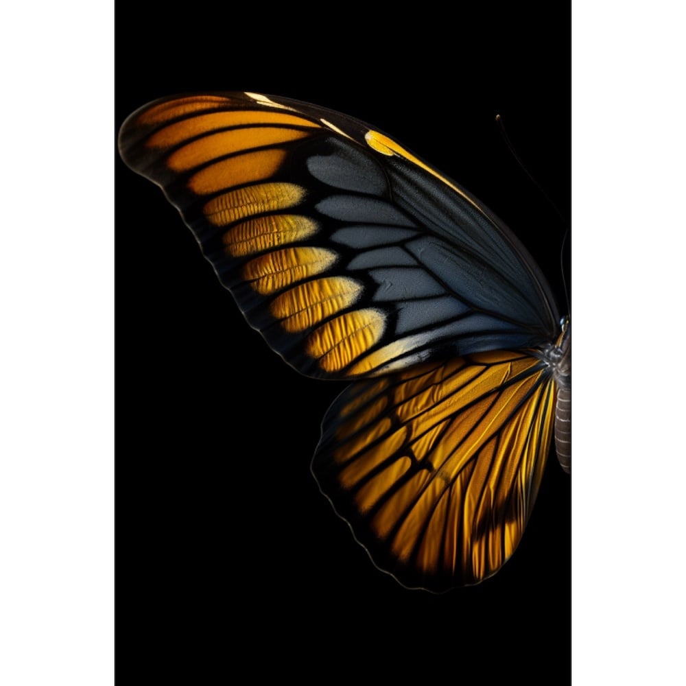 Tableau Ailes de Papillons