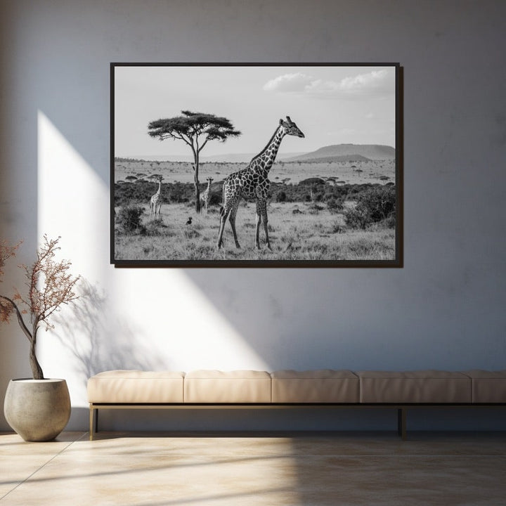Tableau Animaux Savane Noir et Blanc, art mural décoration nature