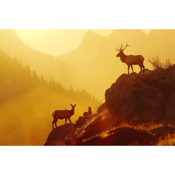 Tableau Animaux Montagne, art mural décoration nature