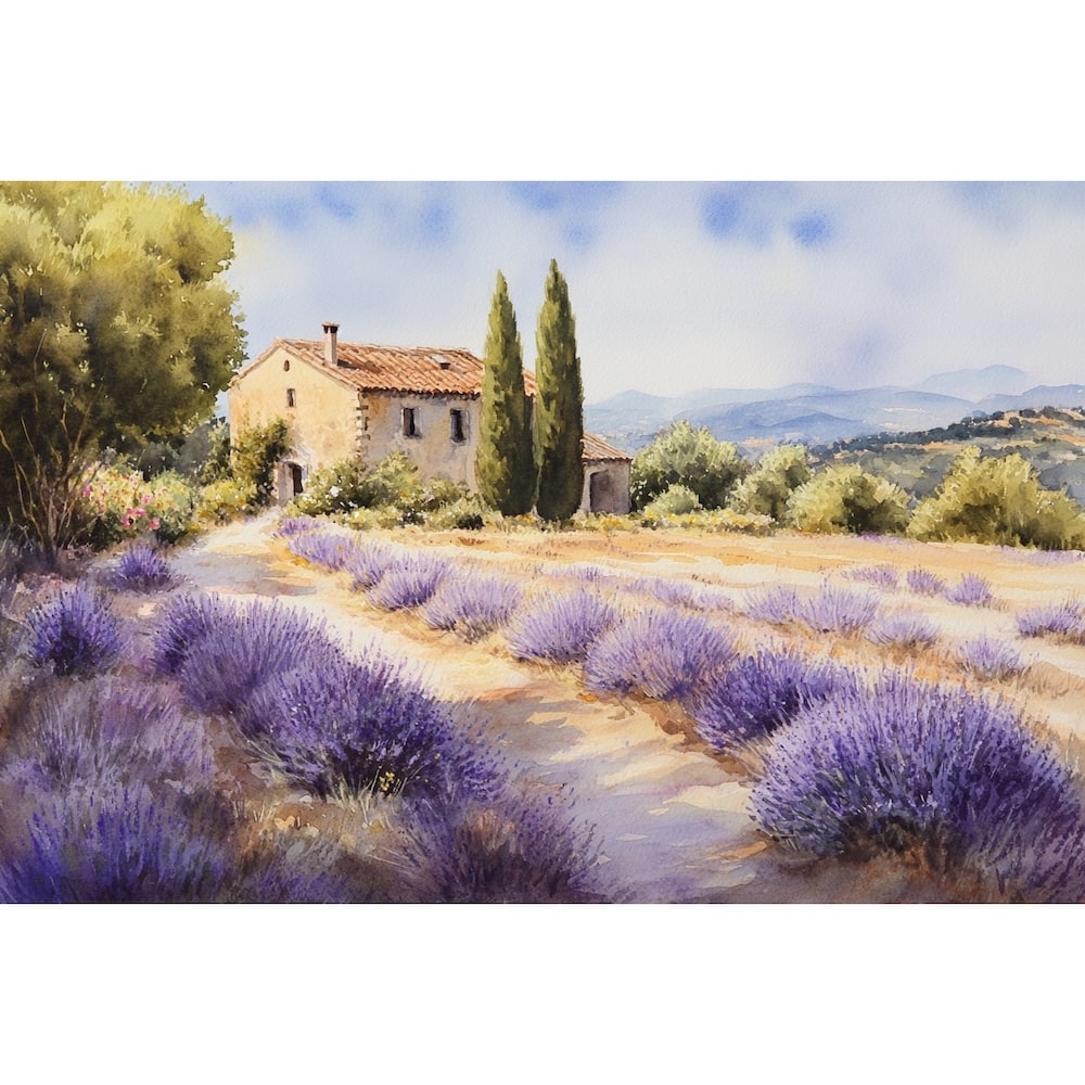 Peinture à l'eau d'un paysage de Provence, rangées violettes, chemin sableux et collines bleutées