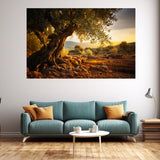 Tableau Arbre Olivier