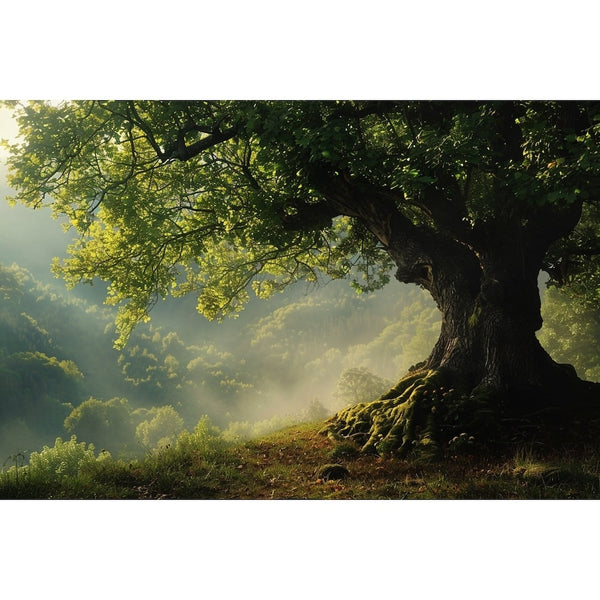 Tableau Arbre en Relief, art mural décoration nature