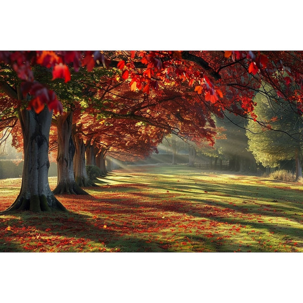 Tableau Arbre Couleur, art mural décoration nature