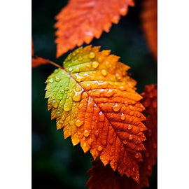Tableau Automne Feuille