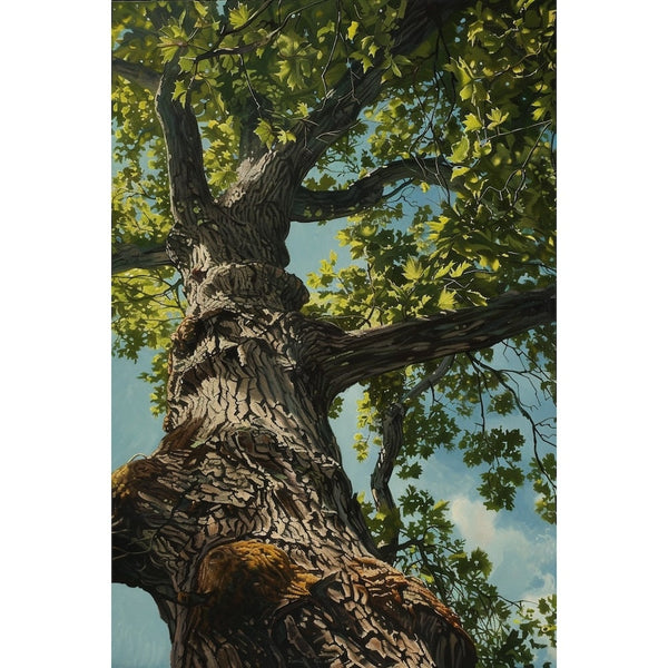Tableau Vieux Chêne en Contre-Plongée, art mural décoration nature