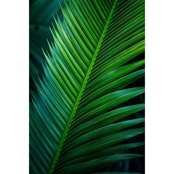 Tableau Palme Délicate, art mural décoration nature