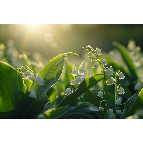 Tableau Avec Fleurs Muguet