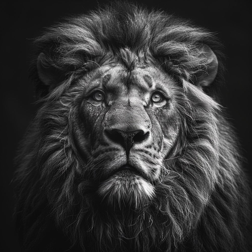 Tableau Lion Monochrome, art mural décoration nature