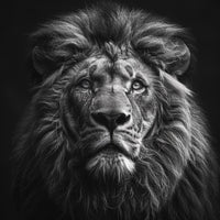 Thumbnail for Tableau Avec Lion Noir Et Blanc