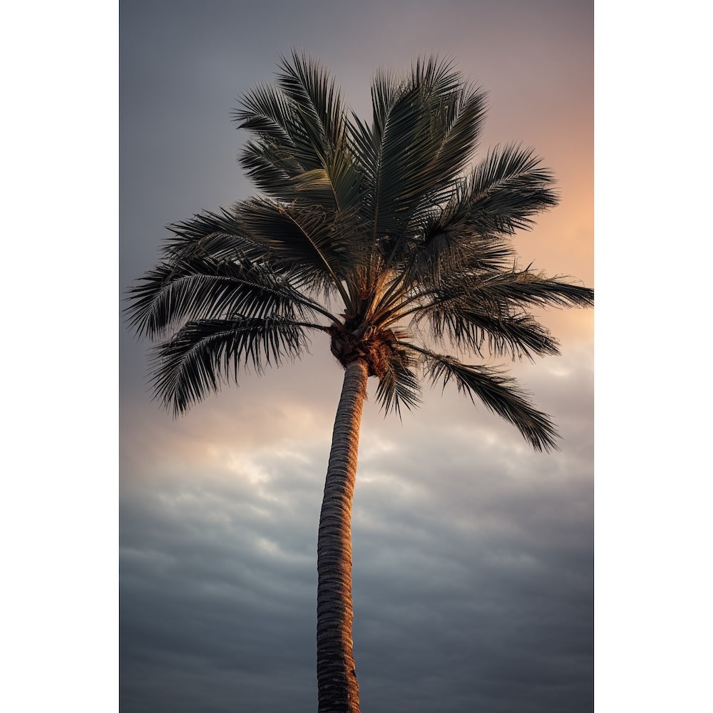 Maler med et palmetræ