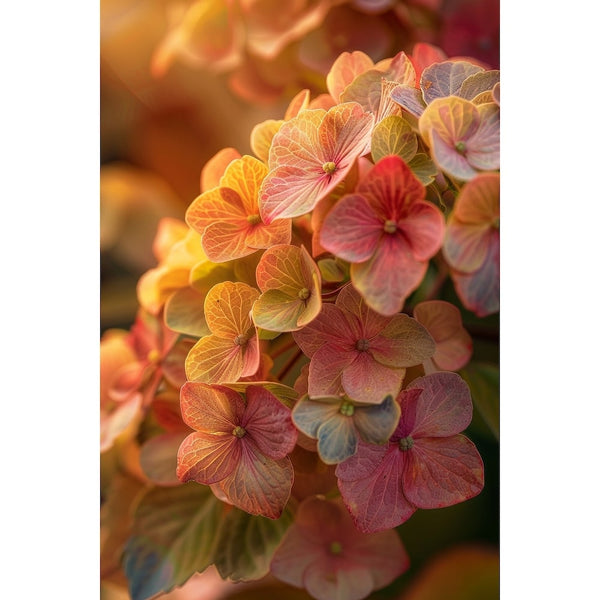 Tableau Avec des Hortensias