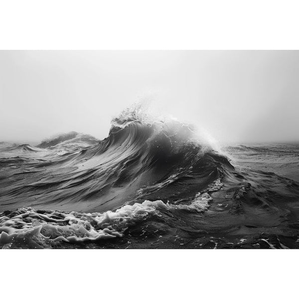 Tableau Bord de Mer Noir et Blanc, art mural décoration nature