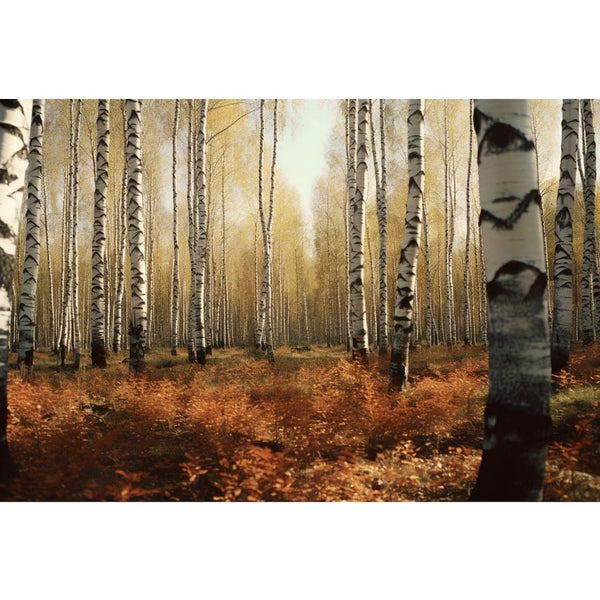 Tableau de Bouleau Automne, art mural décoration nature