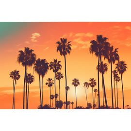 Tableau Image California Palmier, art mural décoration nature