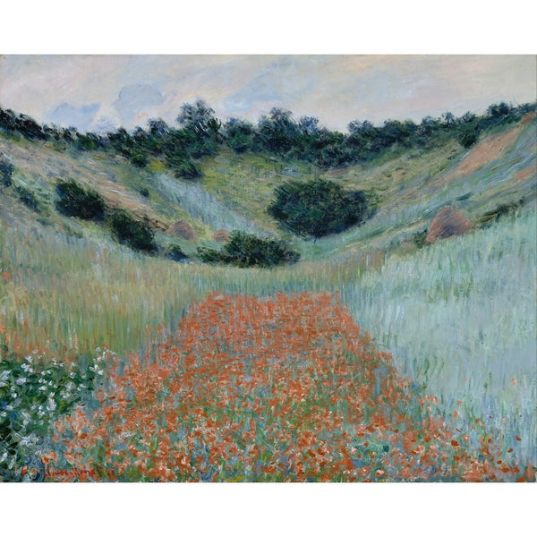 Tableau Coquelicot Célèbre, art mural décoration nature